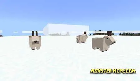 Mountain goats