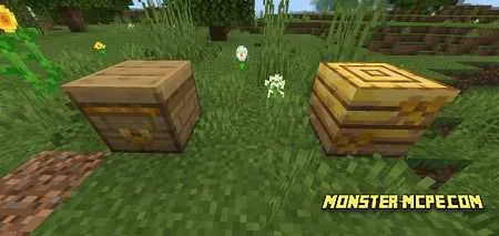 Bees Like Creepers (1)