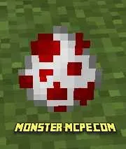 B Dasher Add-on (4)