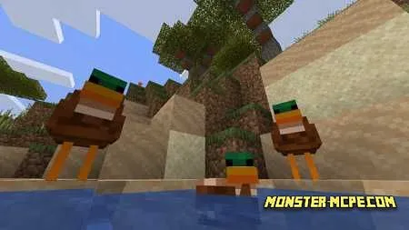 Duck
