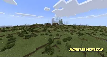 Shrubland