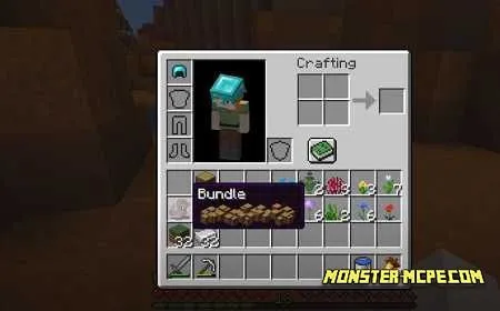 Bundle