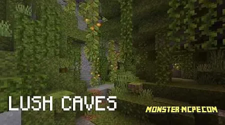 Lush caves