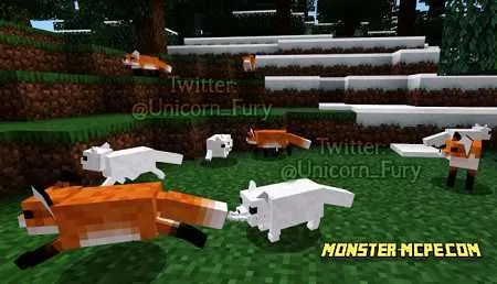 Cuter Vanilla Foxes (3)