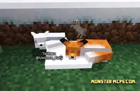 Cuter Vanilla Foxes (1)