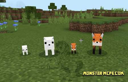 Cuter Vanilla Foxes (2)