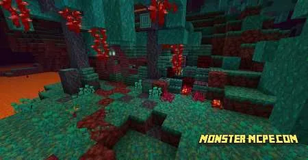 Warped Forest