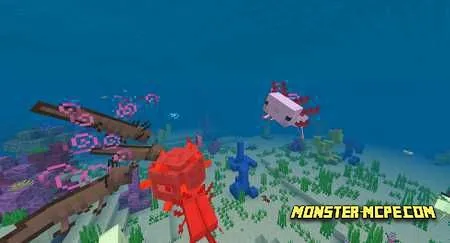 Axolotls (1)