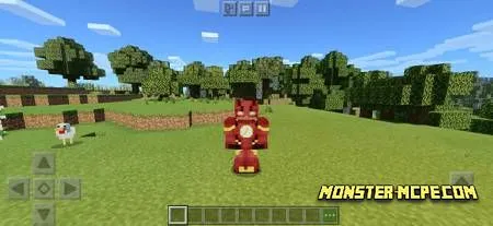 The Flash