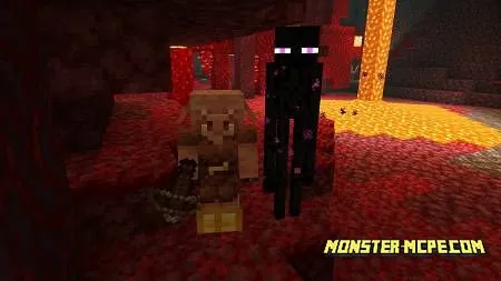 Piglin and Endermen