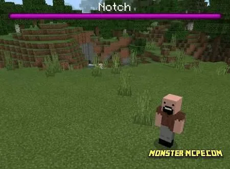 Notch