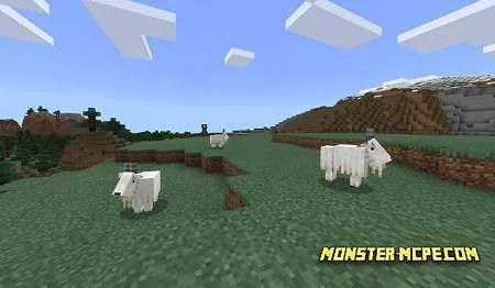Mountain goats