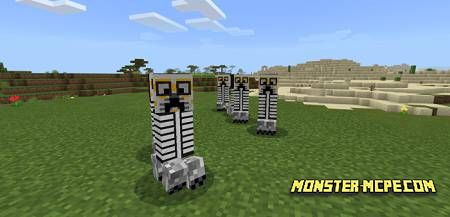Creeper Catrines