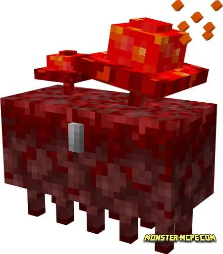 Crimson chest