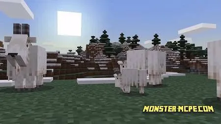 Mountain goats