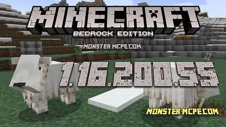 Minecraft PE 1.16.200.55 for Android
