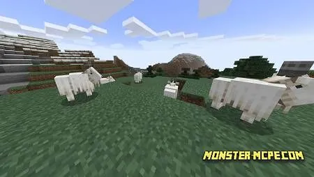Goats