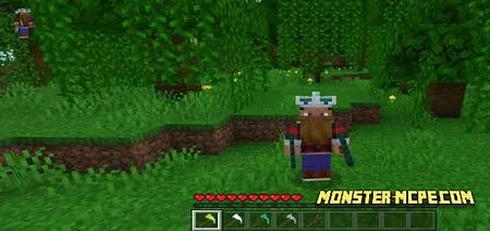 Paxels Add-on for Minecraft PE 1.16.40