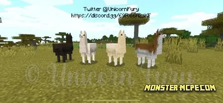 Cuter Vanilla Llamas (2)