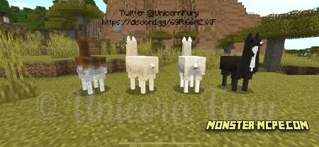 Cuter Vanilla Llamas (1)