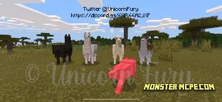 Cuter Vanilla Llamas (4)