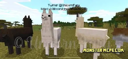 Cuter Vanilla Llamas (3)