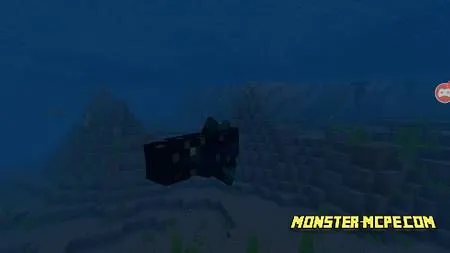 Coelacanth (1)