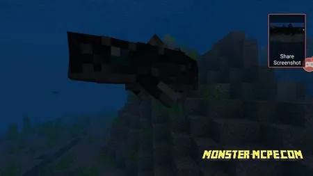 Coelacanth