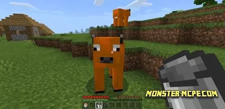 Lava Cow (2)