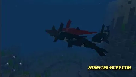 sharks (2)