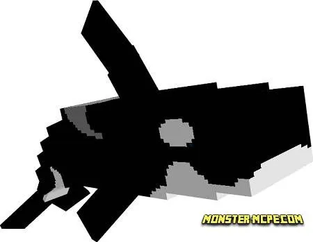 Orca