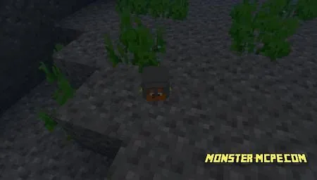 Goldfish with armor