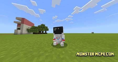 BelyPets (4)