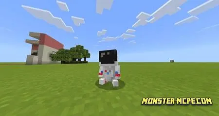 BelyPets (4)