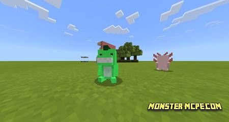 BelyPets (5)