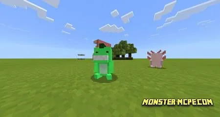 BelyPets (5)