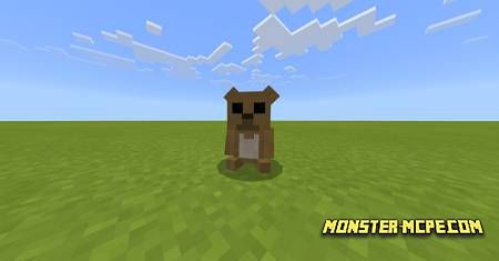 BelyPets (1)