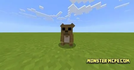 BelyPets (1)