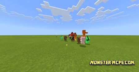 BelyPets (3)