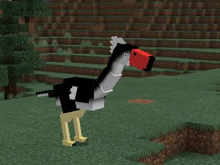 Kelenken