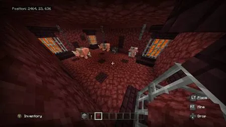 the nether dungeon