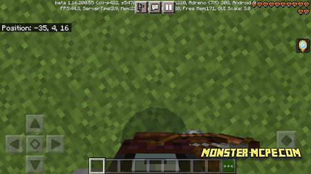 Pillager first person