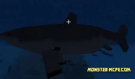 Great White Shark