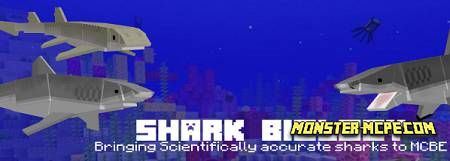 Shark Biology Add-on 1.16+