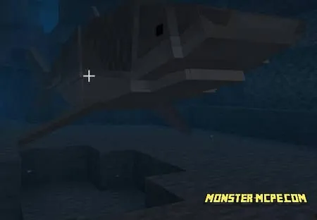 Tiger shark