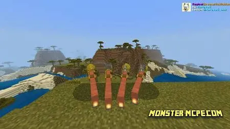 Acacia broomstic (1)
