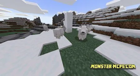 the mountain goat
