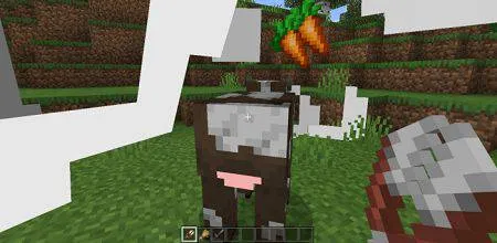 More Moo (2)