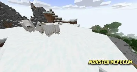 Mountain goat