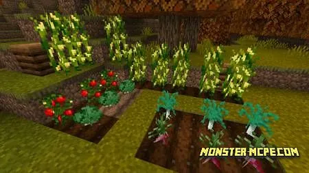 Floral Crops Resource Pack